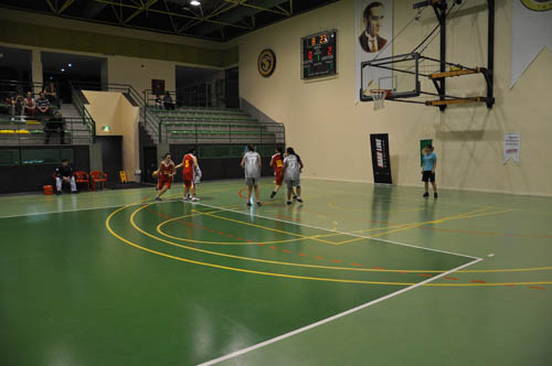 sbbl (137)